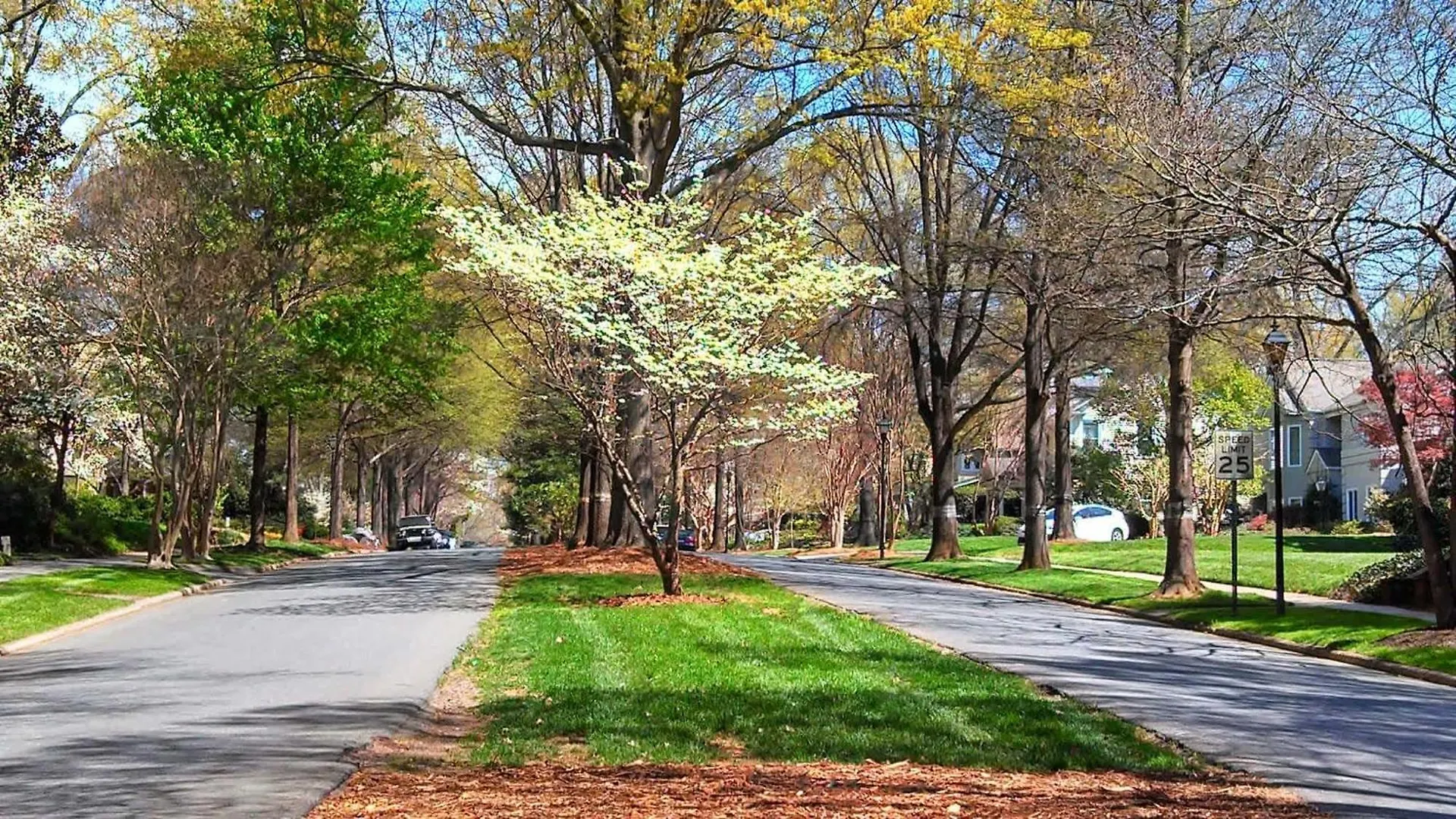 Villa Modern 1Br In The Heart Of Clt Charlotte Casa vacanze